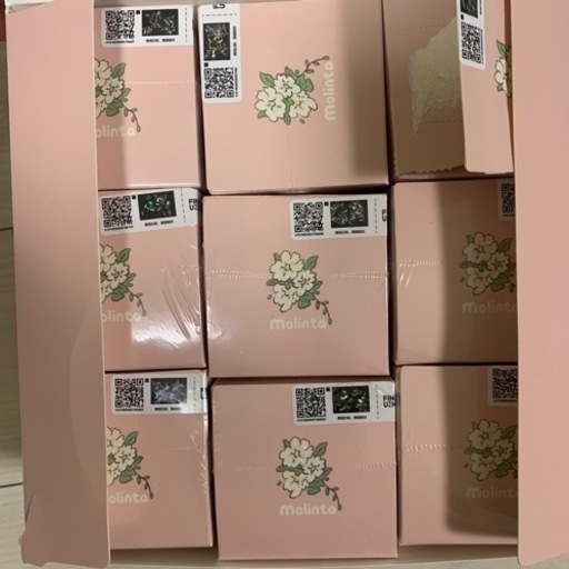 フィギュア molinta