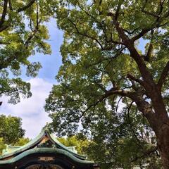 15日㈬〜お散歩とか、ランチ、カフェ、飲みとか、、、、。 - 北区
