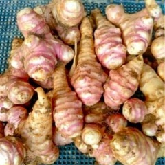 紫菊芋　1kg 800円