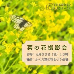 4月30日　菜の花撮影
