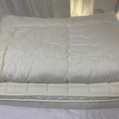 美品ニトリシングル　敷布団　布団の画像