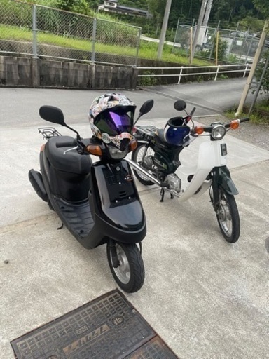 スーパーカブ（50cc）引き取り限定　お話し中