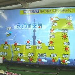 SONY 49V型 液晶テレビ BRAVIA KJ-49X8500C 2015年製 中古