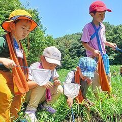 年8回の自然遊び教室　子ども体験教室《キッズコース》の画像