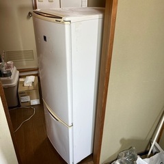 冷蔵庫一人暮らし用