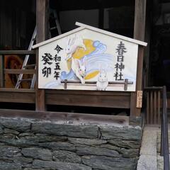 親父バンド発表会の画像