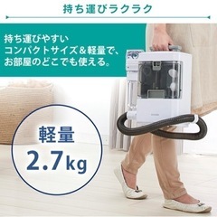 アイリスオーヤマ　リンサークリーナー RNS-300の画像