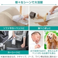 アイリスオーヤマ　リンサークリーナー RNS-300の画像