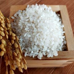 （お試し3合パック）自然米食べませんか？