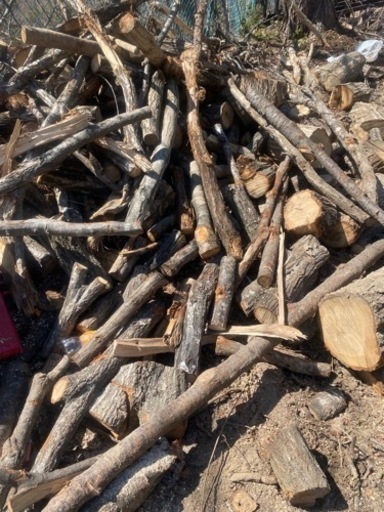 今年度ナラ端材