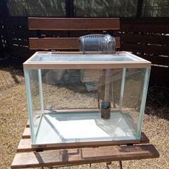 水槽　（鑑賞魚飼育セット）の画像