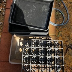 多肉植物のトレー　2号鉢用トレー　大きいテラコッタの鉢　まとめて...