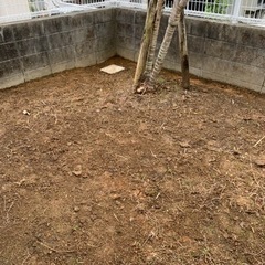冷却人工芝〔去年の台風6号問題無しでした‼️〕の画像