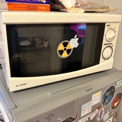 電子レンジ ELSONIC