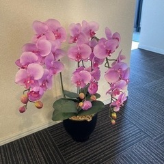 観葉植物　造花