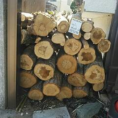キャンプの焚き木、木工工作などにかかがですか？