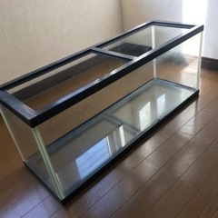 ニッソーの水槽