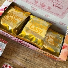 お菓子、ミッキーの組み立て飛行機の画像