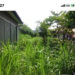 草刈り代行　 - 富士見市