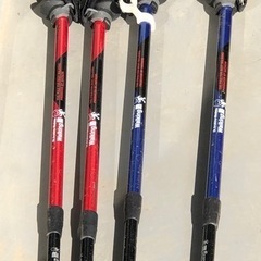 ウォーキングポール　ノルディックウォークの画像
