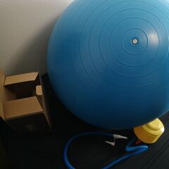 バランスボール 箱 空気入れ付き　最大直径65cm　EGS(イー...