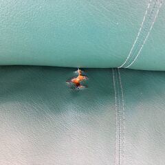 ２人掛け用革製ソファー（深緑）中古品キズ有りの画像