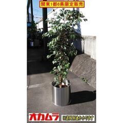 人工樹木　プラントボックス付き　F-NA-599-0111A　「...