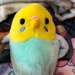 セキセイインコ玩具