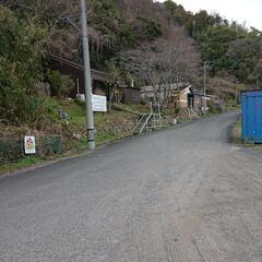 🆘  皆さん、助けてください。3/25(土)人が集まらず、木の伐...