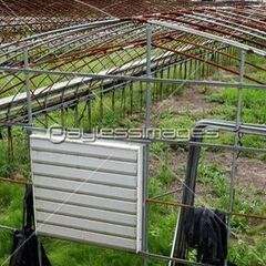 ビニールハウス解体します - 富里市