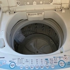 4月中旬以降引き取り希望の画像