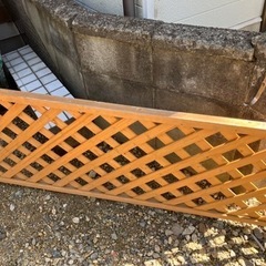ラティス