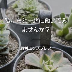 軽自動車 ドライバー募集 貨物配達の画像