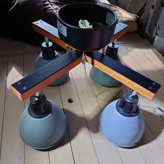 使用期間2週間 照明 シーリングスポットライト