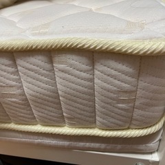 引取歓迎(お譲り方決定)の画像