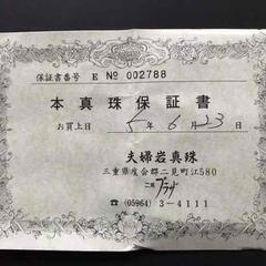 Sun Violet Winny 本真珠バレッタ 保証書付の画像