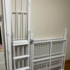 貰ってくださる方。　取引き場所唐津市北波多の画像