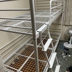 貰ってくださる方。　取引き場所唐津市北波多の画像