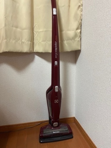 electrolux掃除機　決まりました
