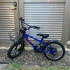 サイクルアサヒ　DUALLY 16インチ