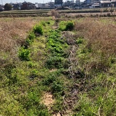 畑にしたいです☆草刈り・土を掘り起こしてくれる方