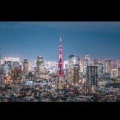 平日お休みのカメラ友達募集 - 友達