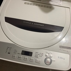 シャープ洗濯機2019