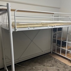 ロフトベット　ニトリ決定しました。
