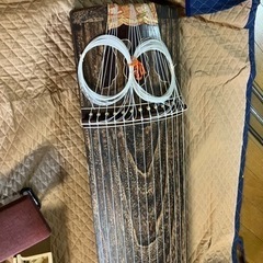 琴の画像