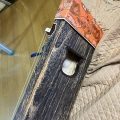 琴の画像