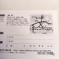 海づり公園無料券４枚の画像