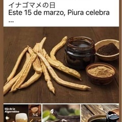 イナゴマメの日