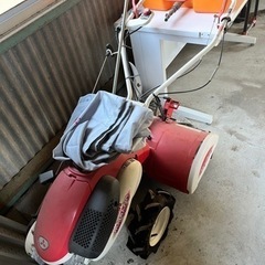 引き取り先確定