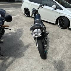 早い者勝ち格安tr250の画像